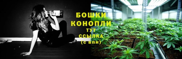 МДПВ Санкт-Петербург