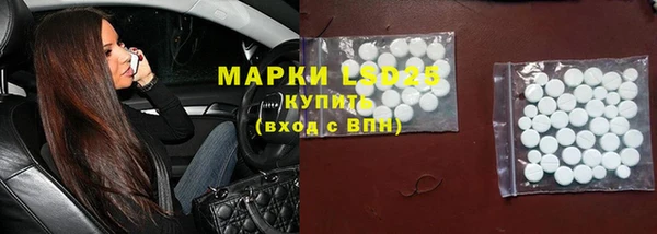 стаф Белоозёрский