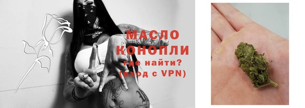 стаф Белоозёрский
