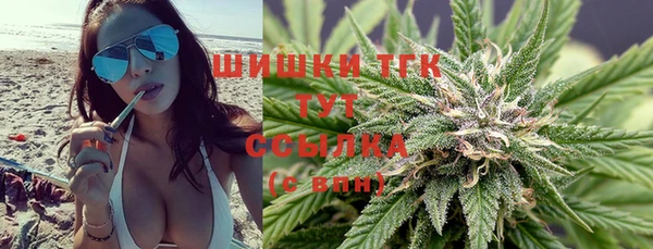 прущие крисы Белокуриха