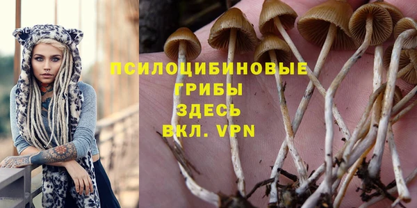 стаф Белоозёрский