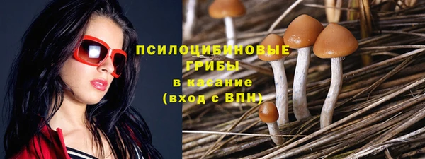 прущие крисы Белокуриха