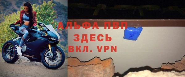 прущие крисы Белокуриха