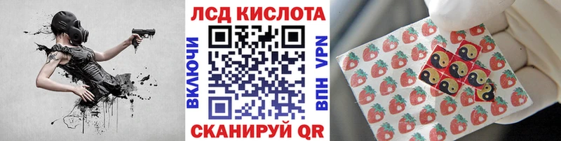 Марки N-bome 1500мкг  Купить где  Всеволожск 