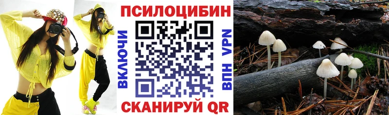 Галлюциногенные грибы мухоморы  Купить закладки  Всеволожск 